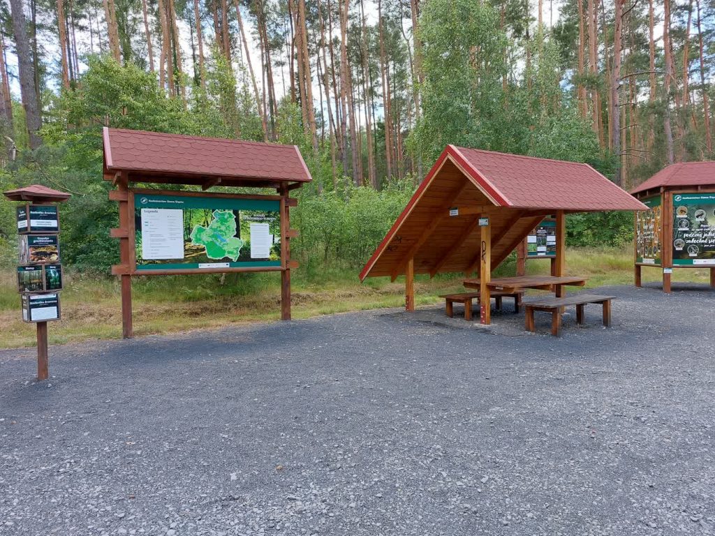 Święto Bór - ścieżka edukacyjna