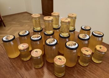 fot: Materiał prasowy UZ