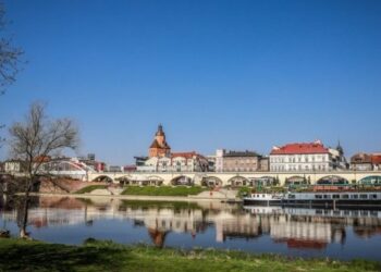 Gorzów nie podaruje! Będą kolejne kary za dewastację środowiska i nielegalne wycinki drzew Radio Zachód - Lubuskie