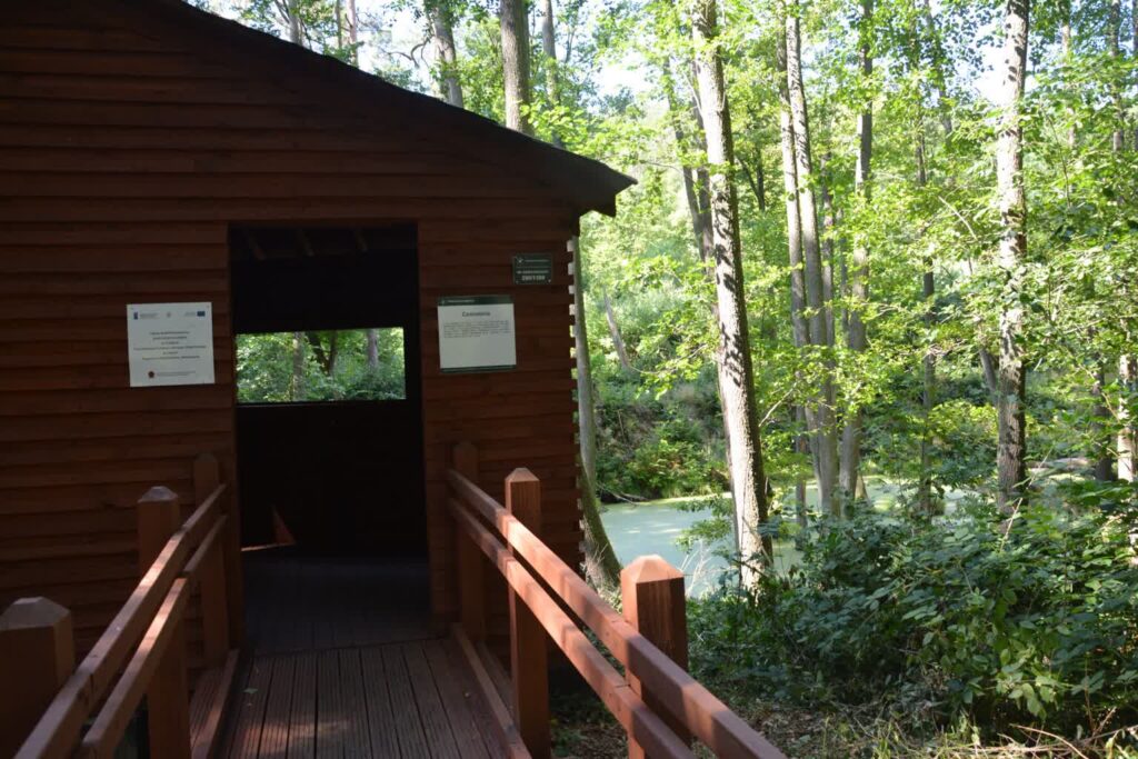 fot: FBPTTK Ziemi Gorzowskiej