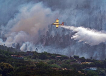 Czechy: strażacy walczą z pożarem lasu w Czeskiej Szwajcarii. Zdjęcie ilustracyjne. Fot. PAP/EPA/Ramon de la Rocha
