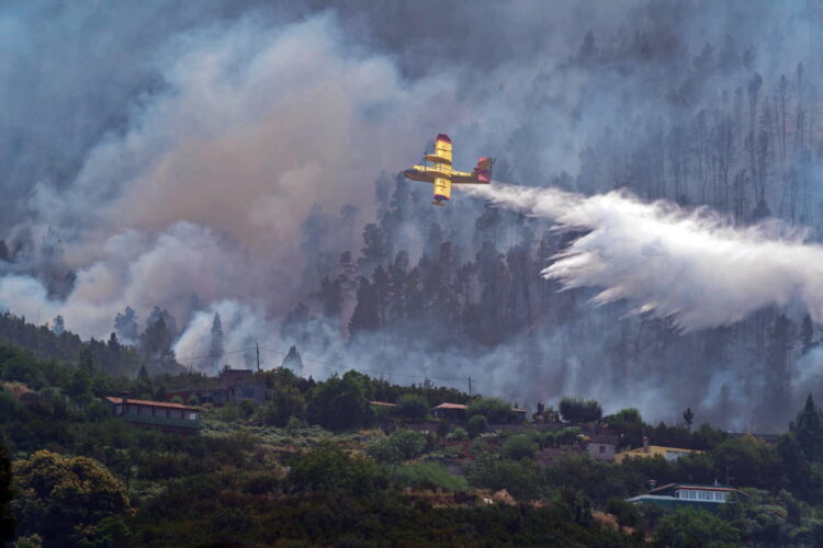 Czechy: strażacy walczą z pożarem lasu w Czeskiej Szwajcarii. Zdjęcie ilustracyjne. Fot. PAP/EPA/Ramon de la Rocha