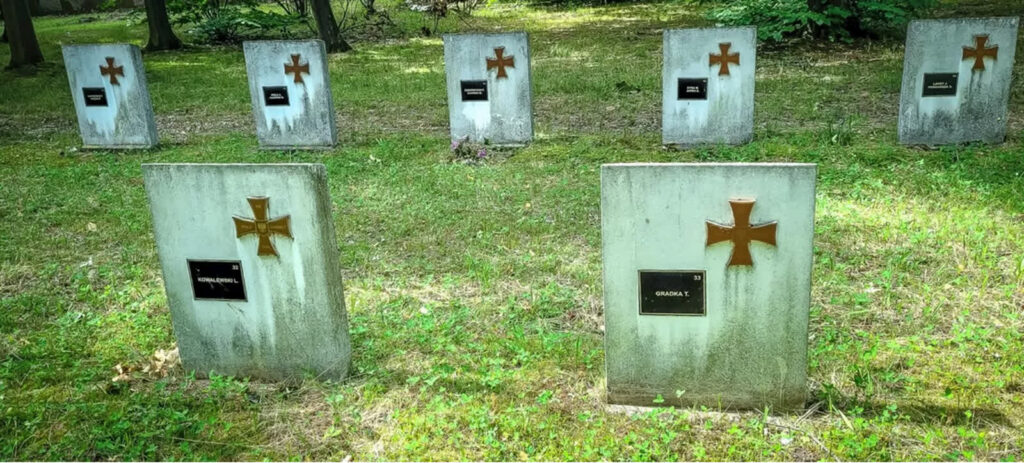 fot. Gorzowskie Inwestycje Miejskie