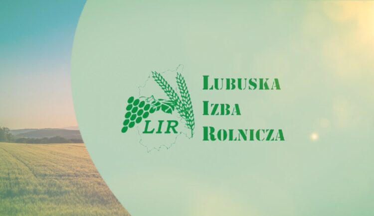 Lubuska Izba Rolnicza chce ogłoszenia stanu klęski suszy w regionie Radio Zachód - Lubuskie