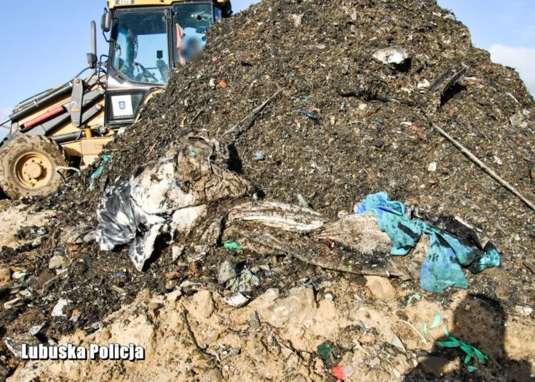 Zakopali w ziemi setki ton odpadów. Lubuska policja rozbiła szajkę Radio Zachód - Lubuskie