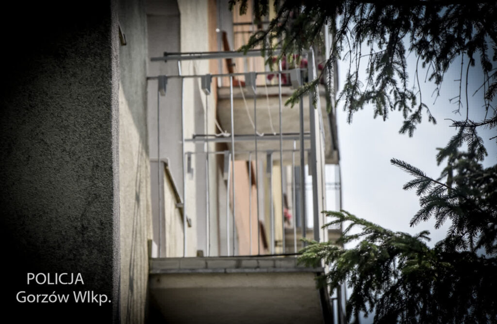 Fot. KWP w Gorzowie