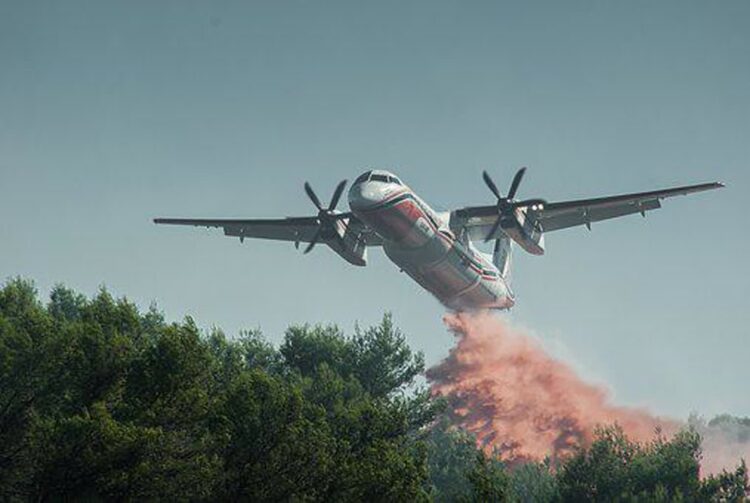 Wysokie zagrożenie pożarowe w lasach Radio Zachód - Lubuskie