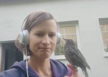Ptaki, woda, śmierć Radio Zachód - Lubuskie