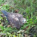 Fot. KPP we Wschowie