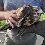 Fot. KPP we Wschowie