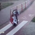 Fot. KMP w Zielonej Górze