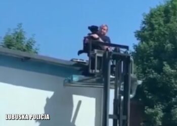 Fot. Komenda Miejska Policji w Zielonej Górze