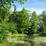 Fot. Lubuski Ośrodek Badań Regionalnych