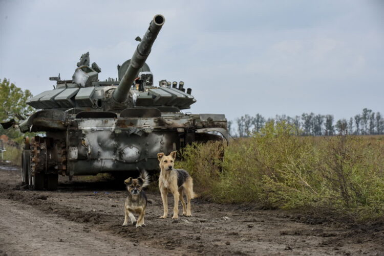 Psy obok zdobytego rosyjskiego czołgu w obwodzie charkowskim, 30 września 2022 r. Ukraińska armia w kontrataku zepchnęła wojska rosyjskie z okupowanego terytorium w północno-wschodniej części kraju. Fot. PAP/EPA/OLEG PETRASYUK