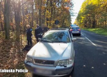 Fot. Komenda Wojewódzka Policji w Gorzowie Wielkopolskim