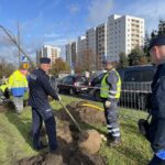 Fot. Bartosz Schaefer