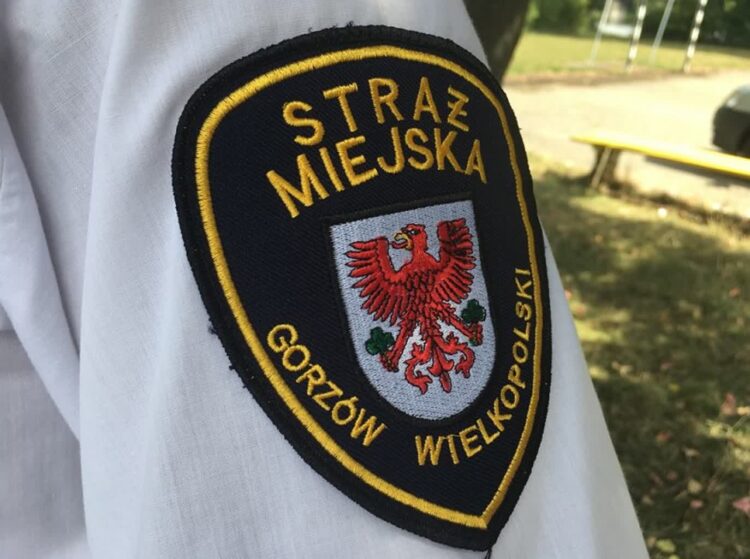 Strażnicy miejscy pilnie poszukiwani w Gorzowie Radio Zachód - Lubuskie