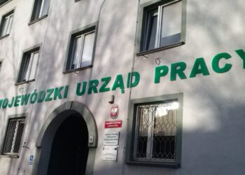 Konflikt interesów w WUP? Chodzi o cudzoziemców pracujących w Polsce Radio Zachód - Lubuskie