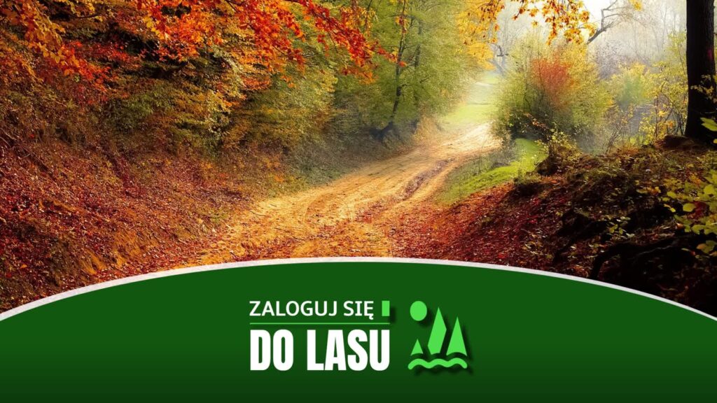 Zaloguj się lasu | Jarosław Karwański o lasach powiatu żagańskiego Radio Zachód - Lubuskie