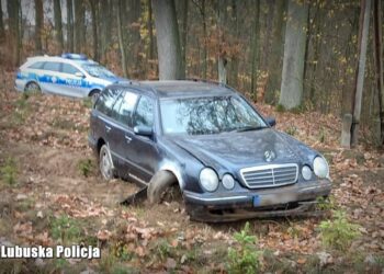 Fot. Komenda Wojewódzka Policji w Gorzowie Wielkopolskim