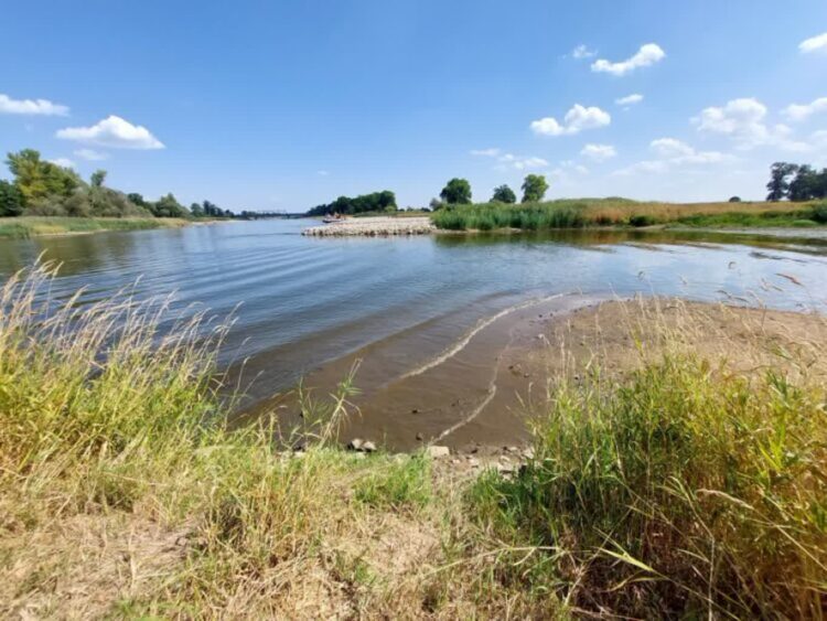 Jest odwołanie ws. prac na Odrze 9 Jest odwołanie ws. prac na Odrze Radio Zachód - Lubuskie