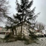 fot. Bartosz Schaefer