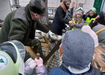 Fot. Zofia Popielecka