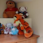 Okno Życia, czyli druga szansa dla małego "Benedykta" Radio Zachód - Lubuskie