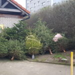 24 tony choinek wywieziono z Gorzowa