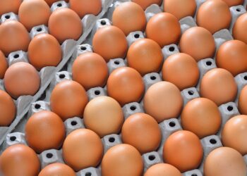 W sklepach w USA brakuje jajek, są racjonowane. Rosną ceny Radio Zachód - Lubuskie