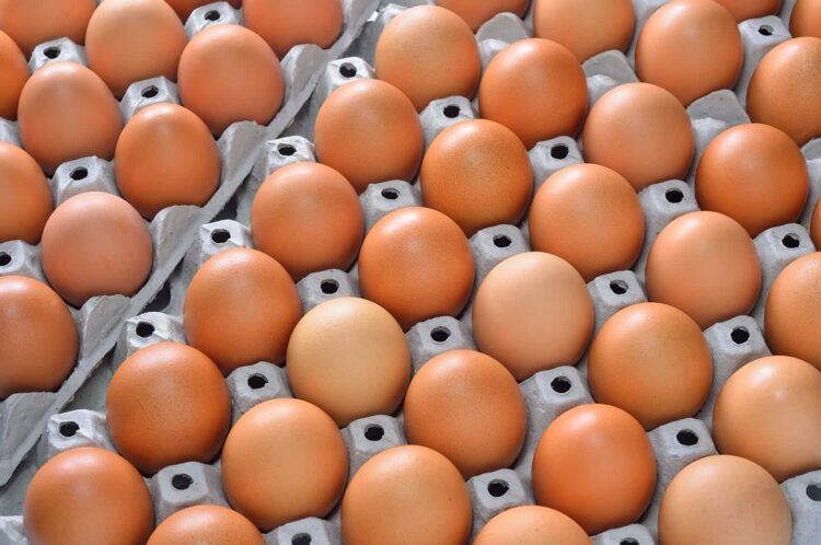 W sklepach w USA brakuje jajek, są racjonowane. Rosną ceny Radio Zachód - Lubuskie