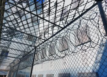 Fot. Zofia Popielecka