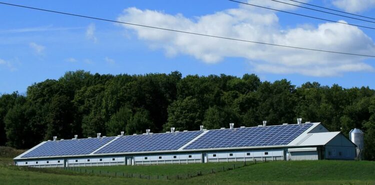 ARiMR dopłaci do inwestycji w zieloną energię Radio Zachód - Lubuskie