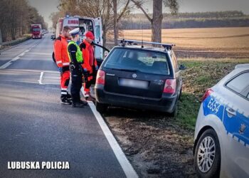 Fot. Komenda Wojewódzka Policji w Gorzowie Wielkopolskim