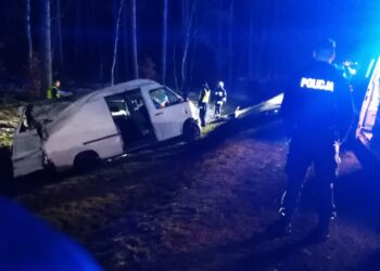 Śmiertelny wypadek w podgorzowskim Kiełpinie. Nie żyje kierowca busa Radio Zachód - Lubuskie