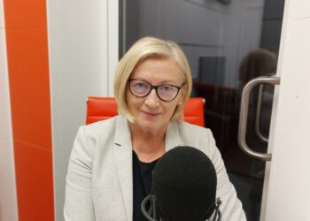 Małgorzata Gośniowska-Kola, radna sejmiku, PiS Radio Zachód - Lubuskie