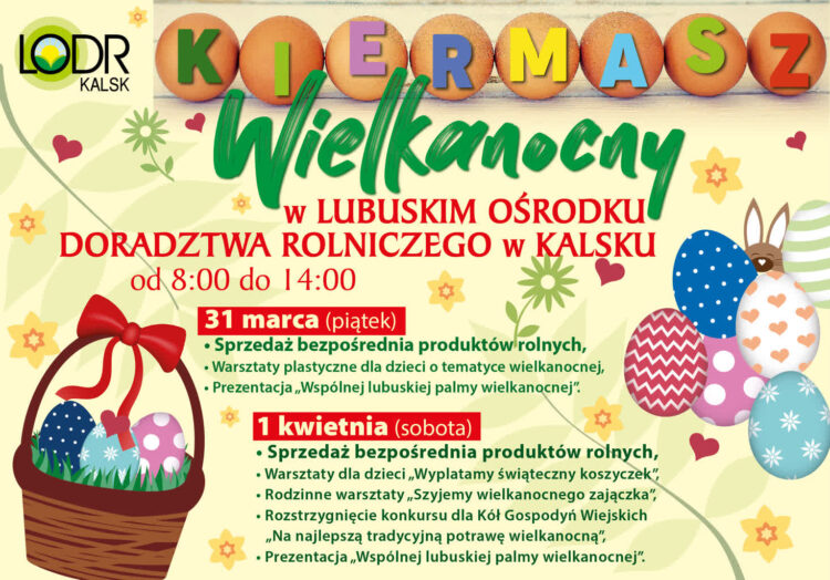 Fot. Organizator