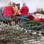 Fot. Zofia Popielecka