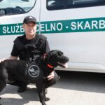 Labradory Carlos i Hektor przechodzą na emeryturę Radio Zachód - Lubuskie