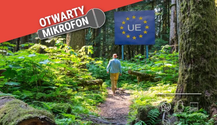 Czy organizacje pozarządowe powinny mieć wpływ na zarządzanie polskimi lasami? Radio Zachód - Lubuskie