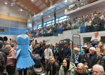 Hala sportowa w Nowej Soli