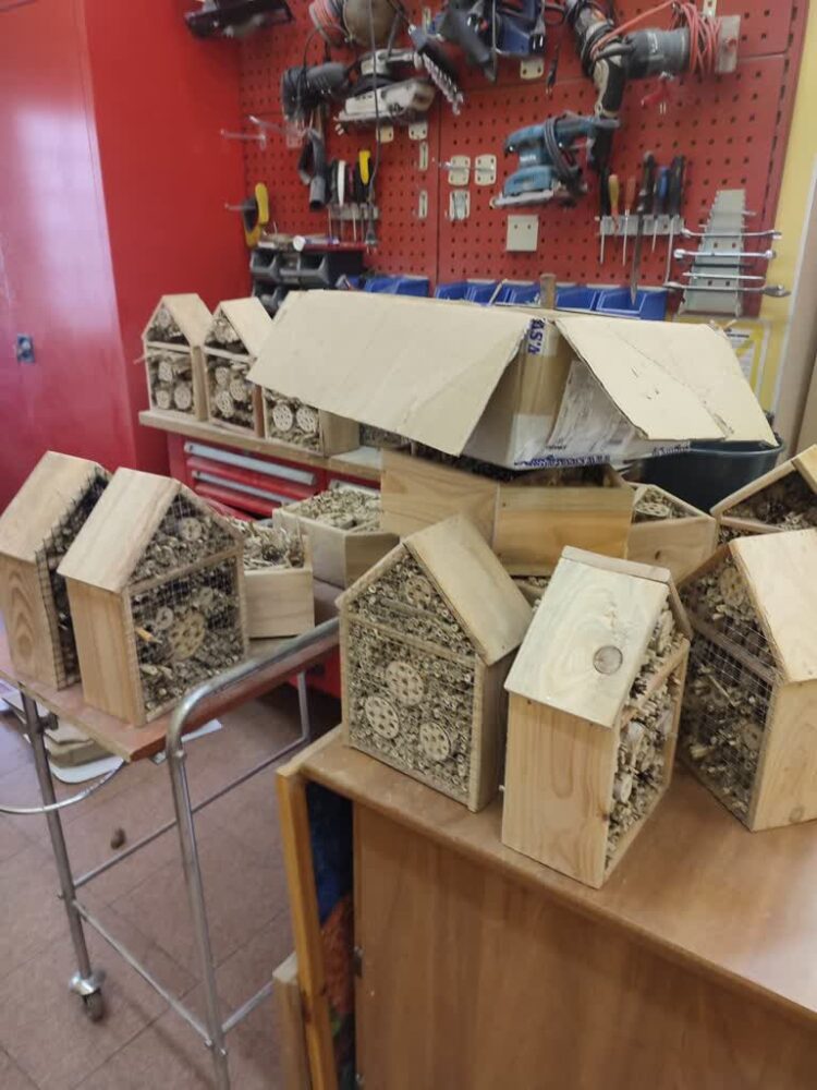 Domki dla pszczół