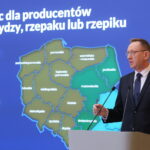 Fot. PAP/Paweł Supernak