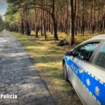Fot. Lubuska Policja