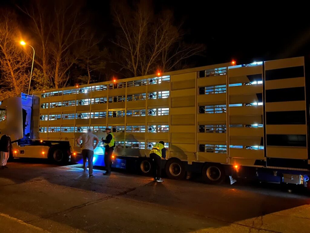 Fot. Wojewódzki Inspektorat Transportu Drogowego w Gorzowie