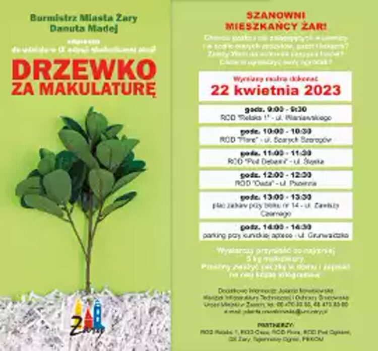 Dzisiaj w Żarach drzewko za makulaturę Radio Zachód - Lubuskie