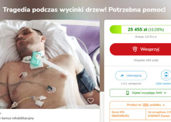 Wypadek podczas wycinki drzew. Potrzebna rehabilitacja Radio Zachód - Lubuskie