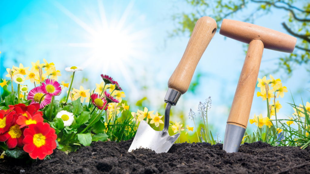Jak przygotować ziemię w ogrodzie do hodowli roślin
