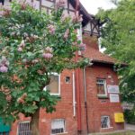 Fot. Zofia Popielecka