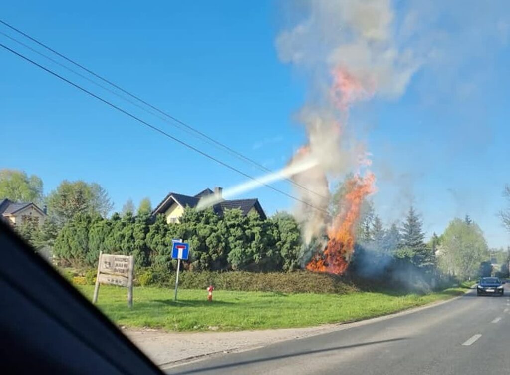 Fot. OSP Zabór/FB